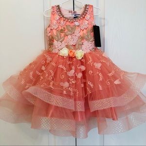 Extra Fancy Luxury Party Dress 2-3 approx girls